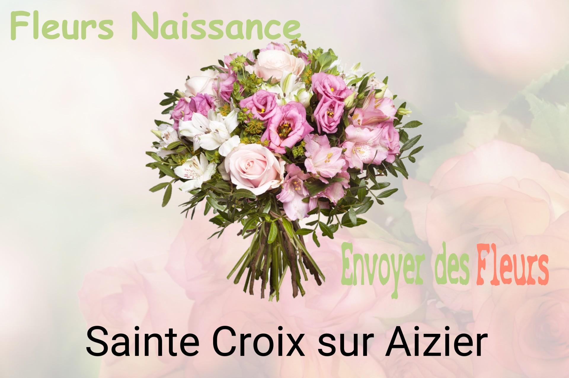 Bouquet de fleurs de naissance livré à Sainte-Croix-sur-Aizier