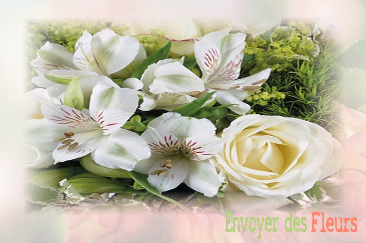 envoyer des fleurs à à SAINTE-CROIX-SUR-AIZIER